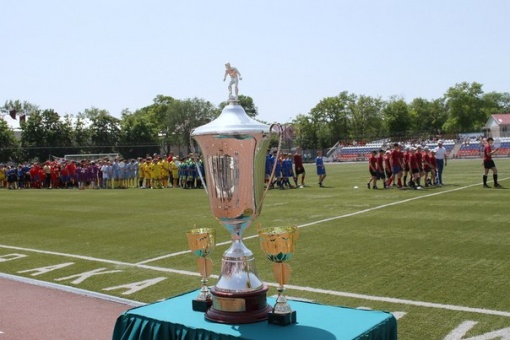 Команда Мартыновского района  в четвёртый раз подряд выиграла областной «Колосок» 