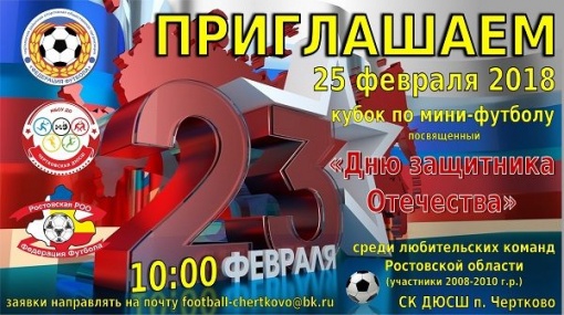 Федерация футбола Чертковского района открывает прием заявок на участие в Кубке по мини-футболу, посвященному Дню защитника Отечества 