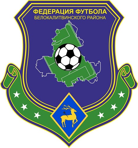 Федерация Футбола Белокалитвинского района представила обновленную эмблему 
