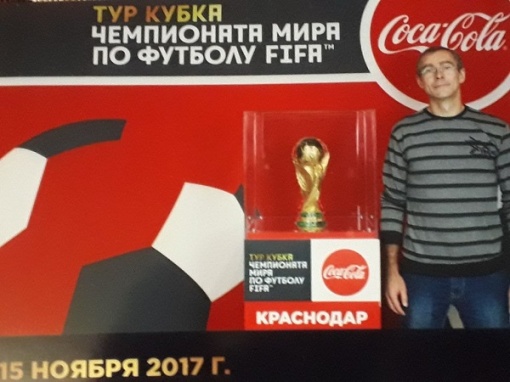 Делегация Ростовской области встретила главный трофей Чемпионата мира 