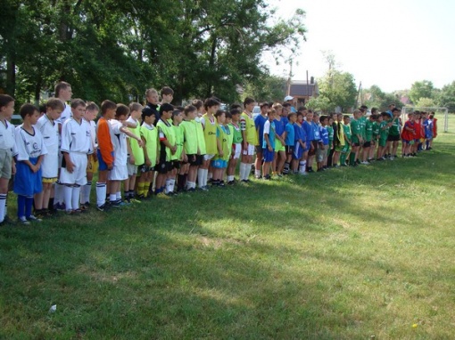 Областные соревнования по футболу среди детских команд образовательных учреждений, образованных в сельской местности  "Колосок - 2015". Результаты первого тура.